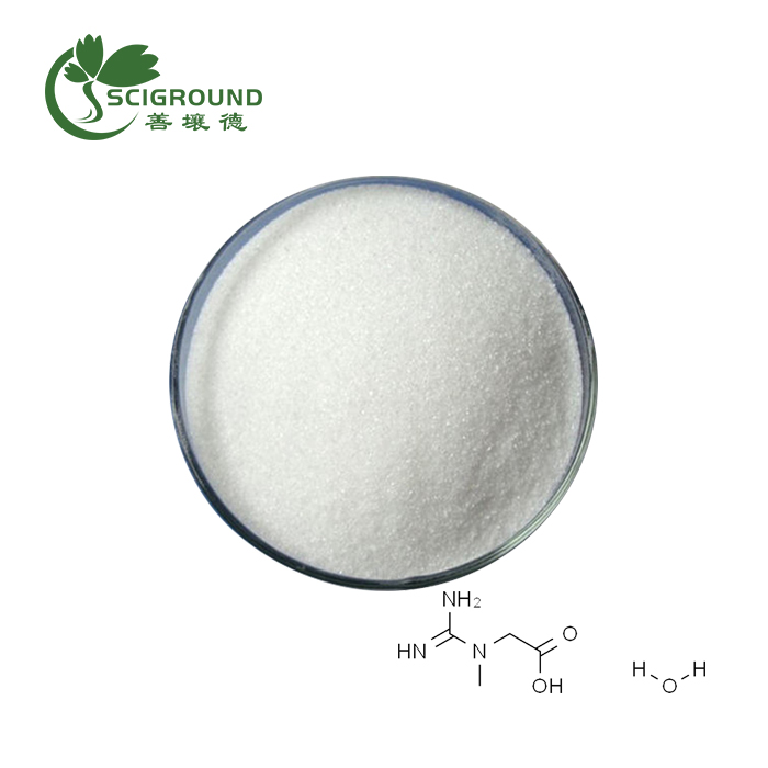 Bulk Creatine Monohydrate Powder